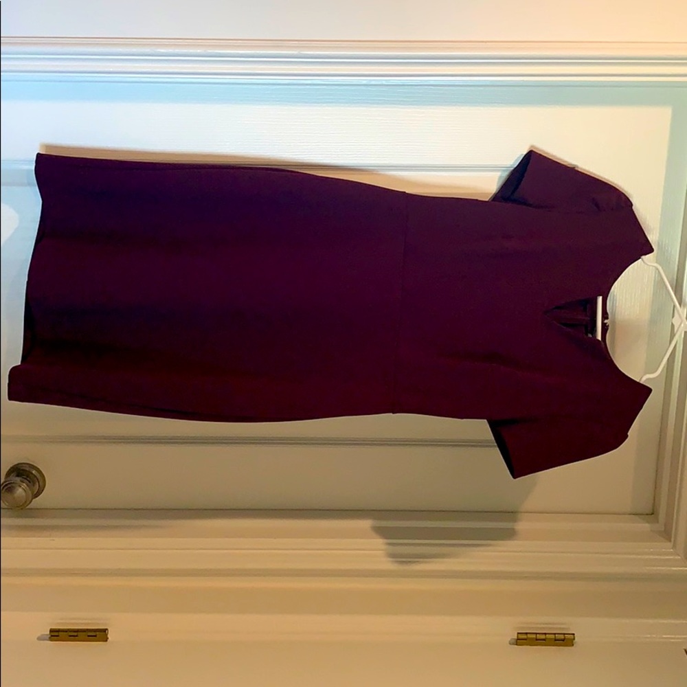 The Limited Dress